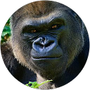 alexis billiet profile picture